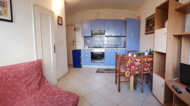 20190215_111926-Copy.jpg