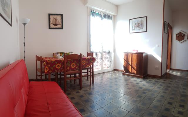 20190215_114111-Copy.jpg