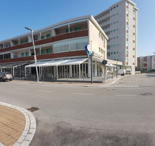20190215_122642-Copy.jpg