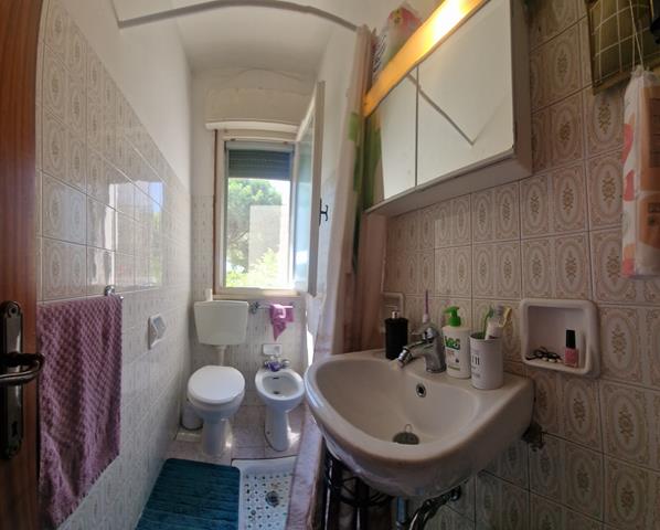 20240721_120919 (Copy)