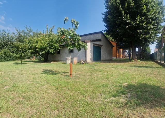 20240713_163548 (Copy)