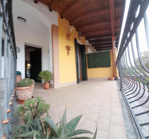 20241003_114336 (Copy)