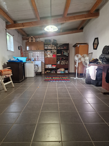 20241009_164002 (Copy)