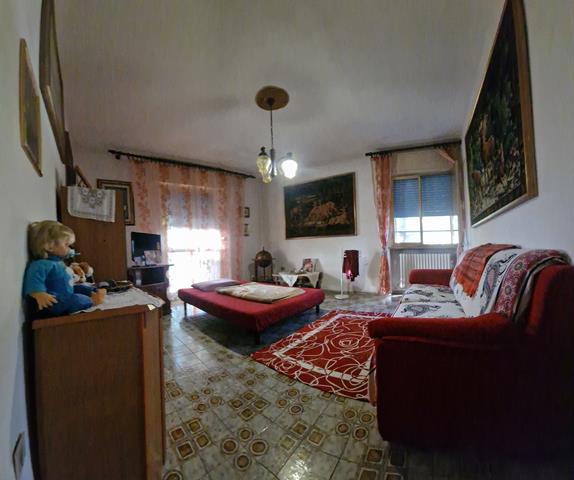 20241009_165655 (Copy)