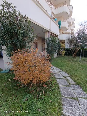 1734085858752 (Copy)